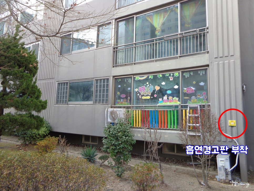 수내동어린이집 이미지