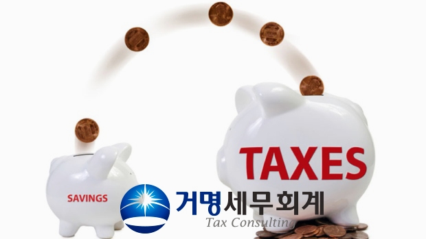 하나세무회계사무소 이미지