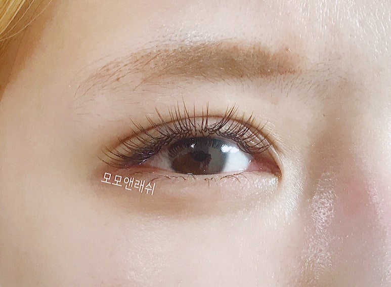 모모앤래쉬 이미지