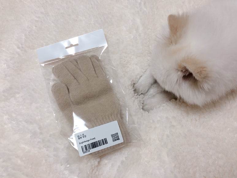 로코식스 이미지