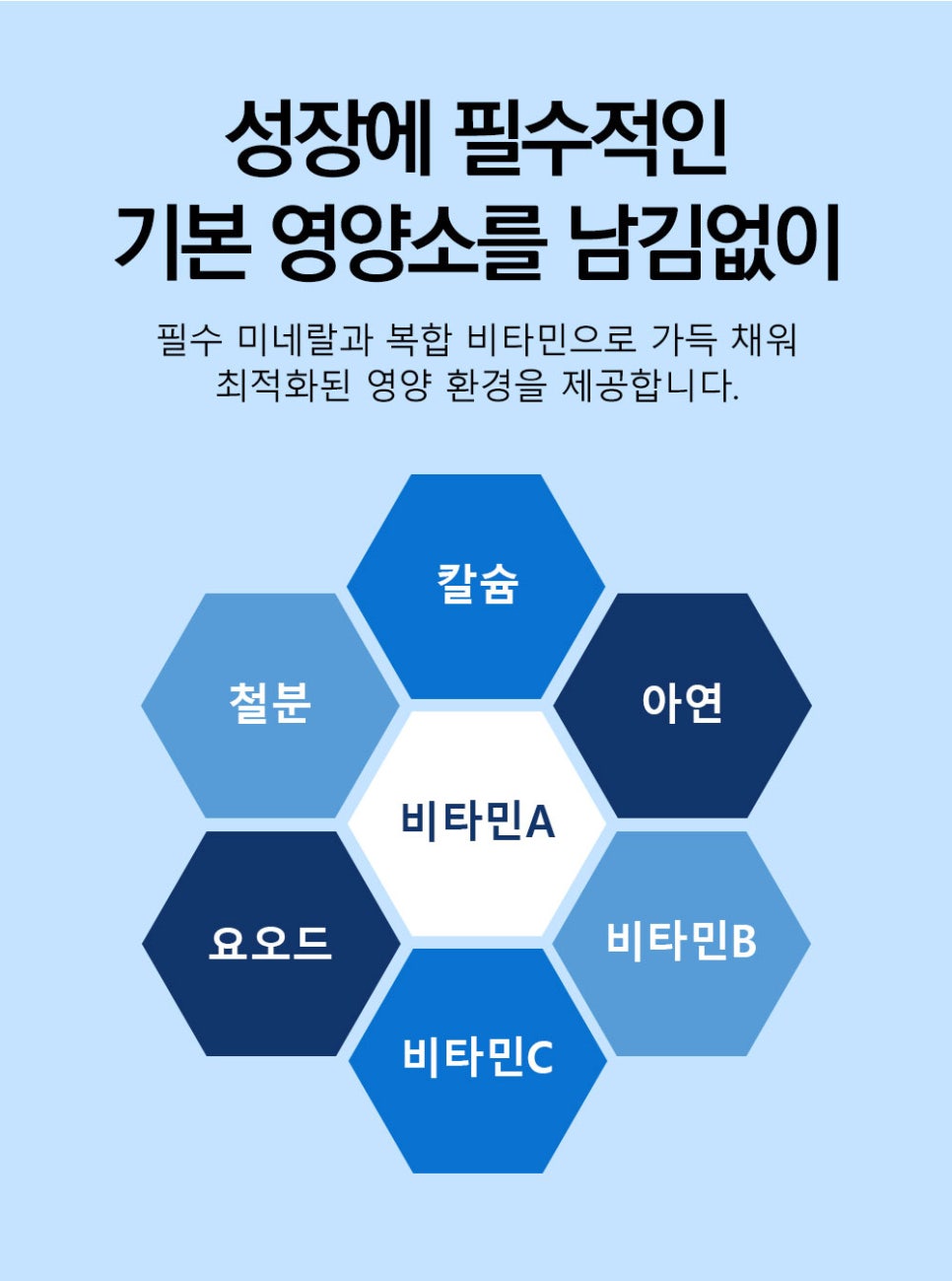 하이정 이미지
