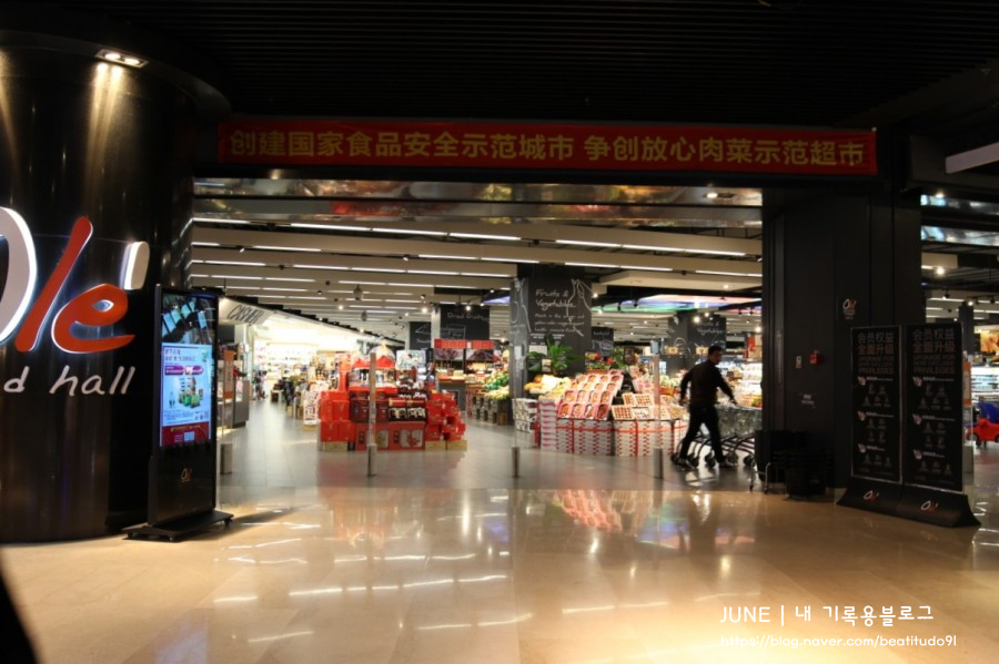 카노티 이미지