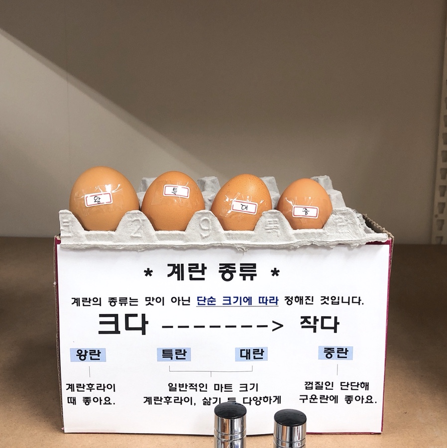 노른자케이스 이미지