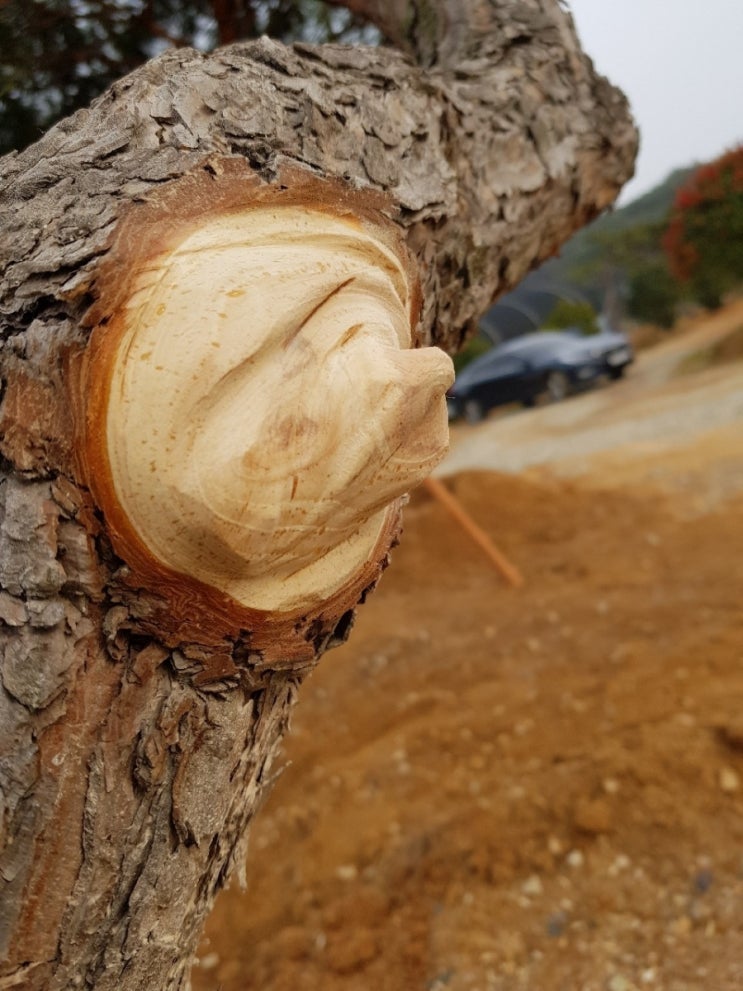 명품농원 이미지