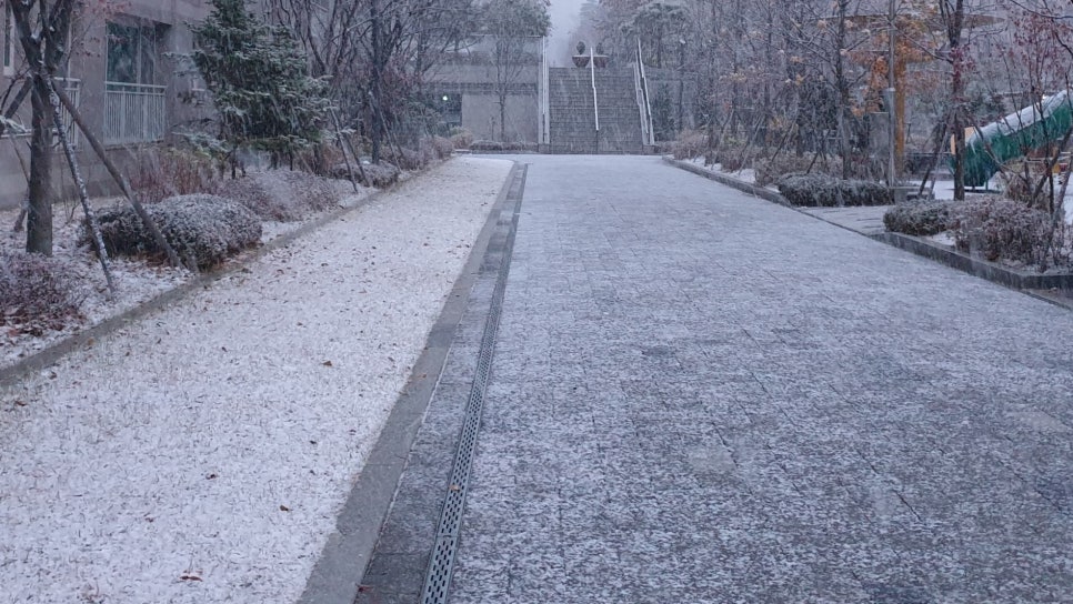 석행정사 이미지