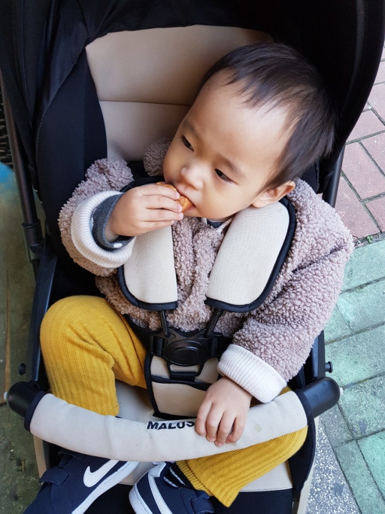 호두팡팡 이미지