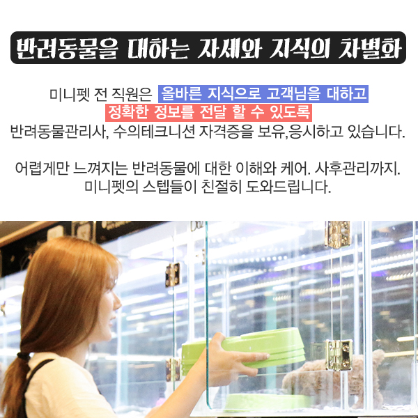 아가다헤어 이미지