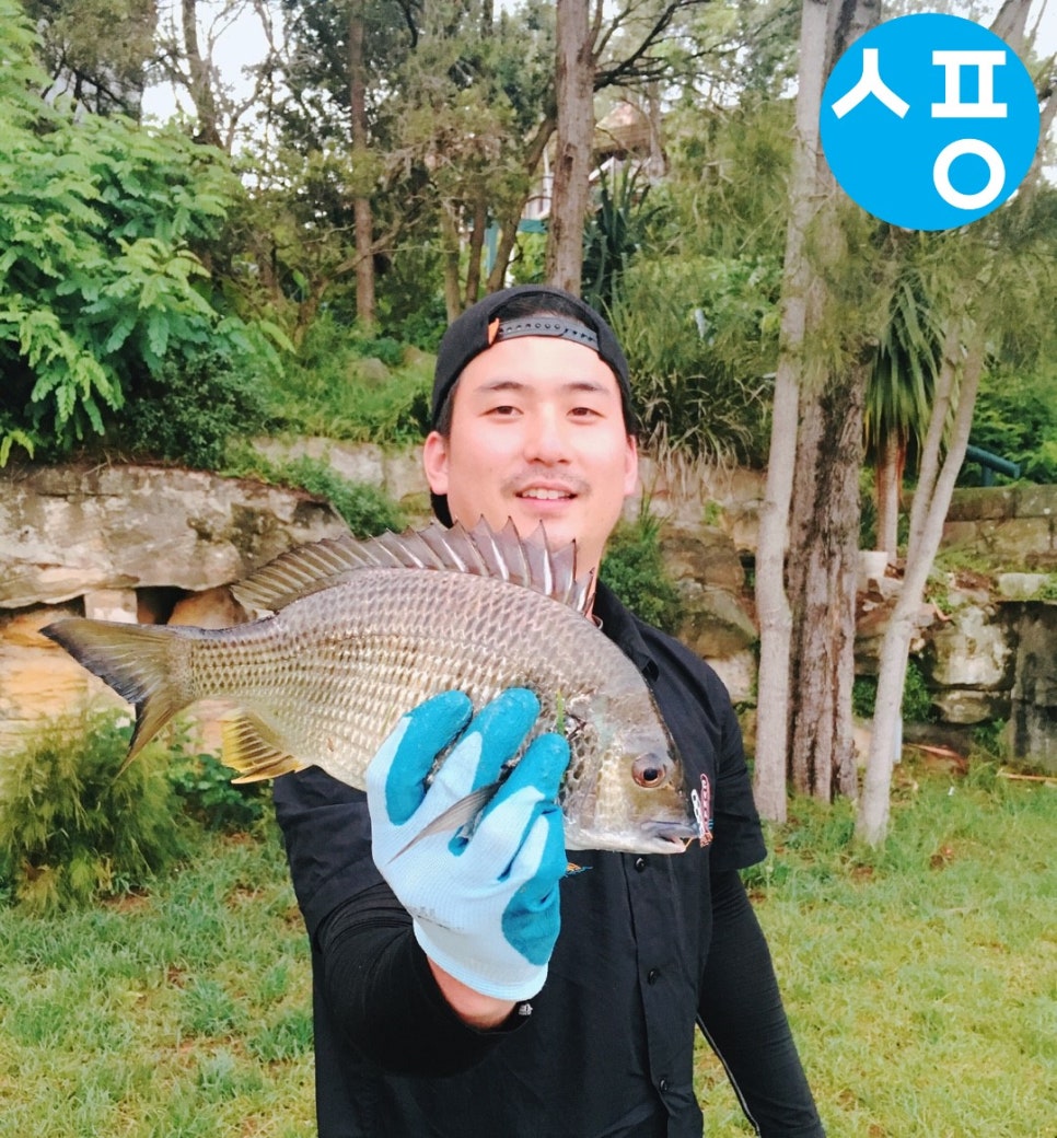 소풍여행사 이미지