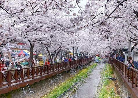 명진카멀티샵 이미지