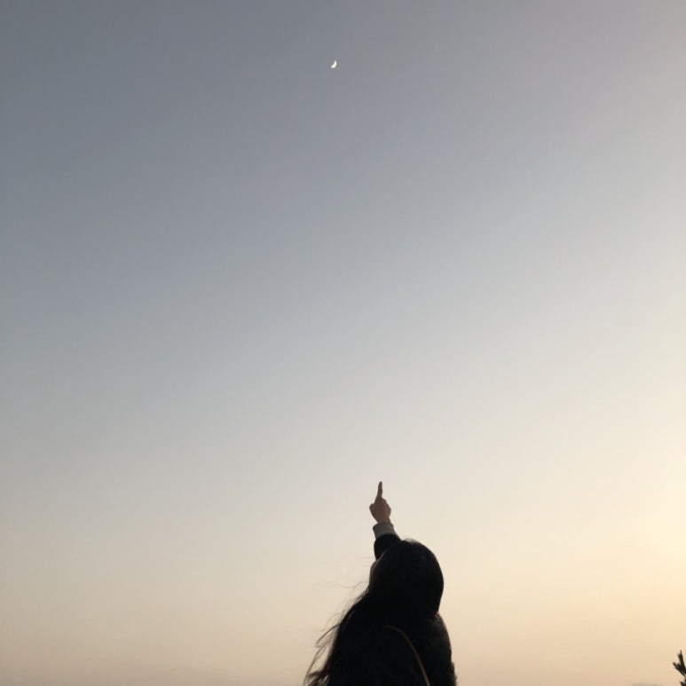 동백수산 이미지