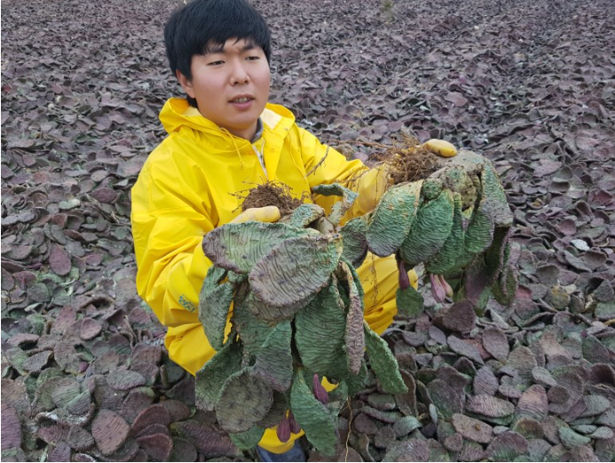 재호팜스토리 이미지