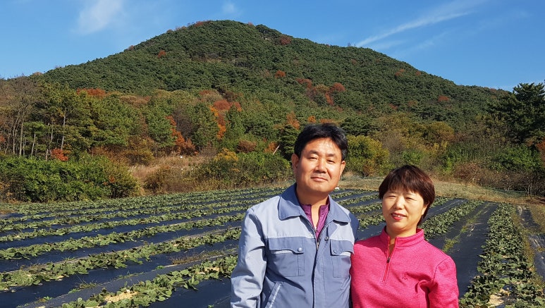 재호팜스토리 이미지