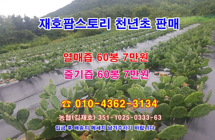 재호팜스토리 이미지