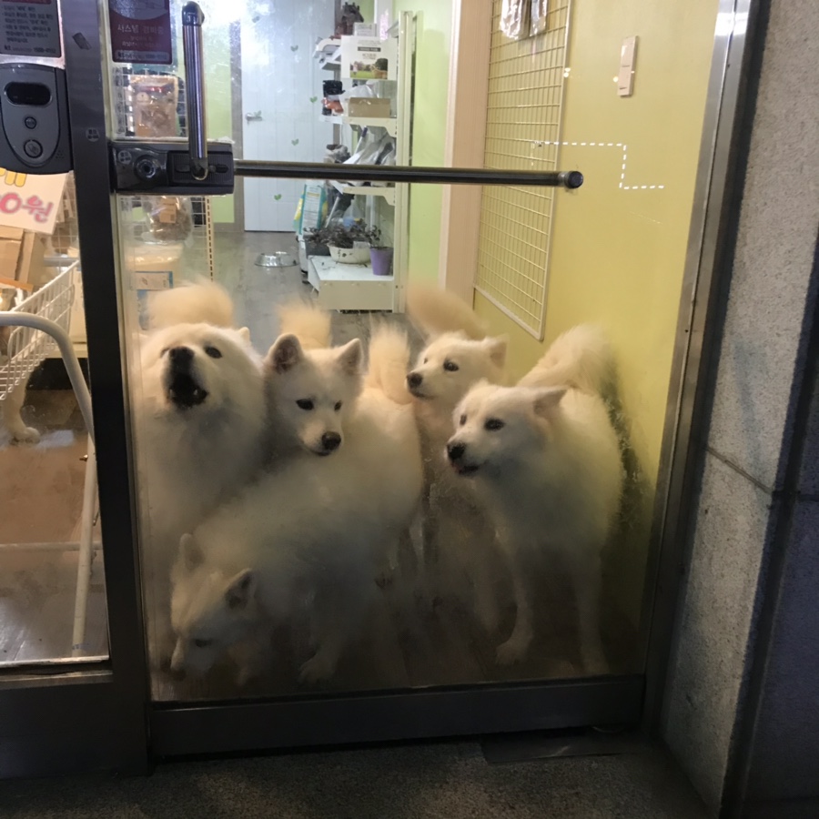 카페일분 이미지