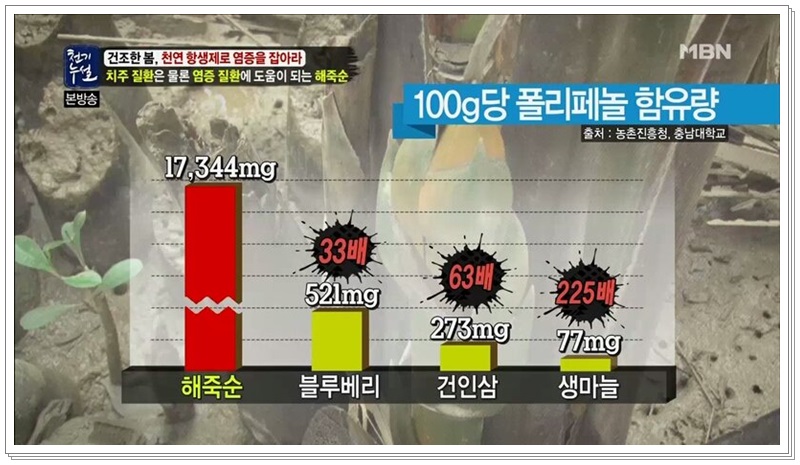 폴리팜 이미지