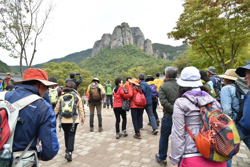 세계관광여행사 이미지