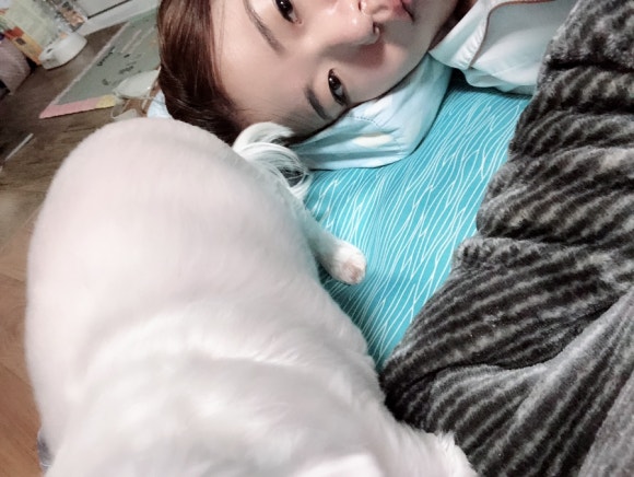 소소한 집사 이미지