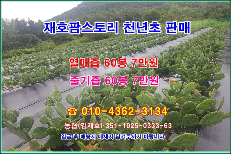 재호팜스토리 이미지