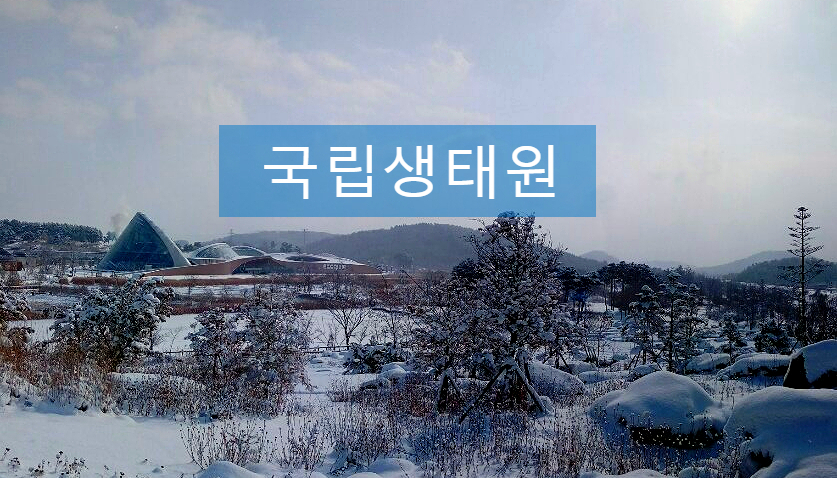 동서천농협파머스마켓 이미지