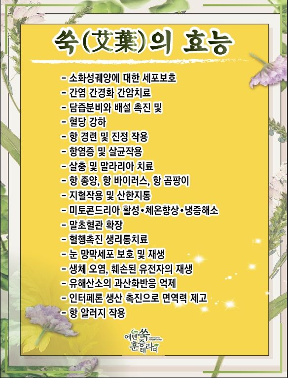 에덴쑥훈증테라피 이미지