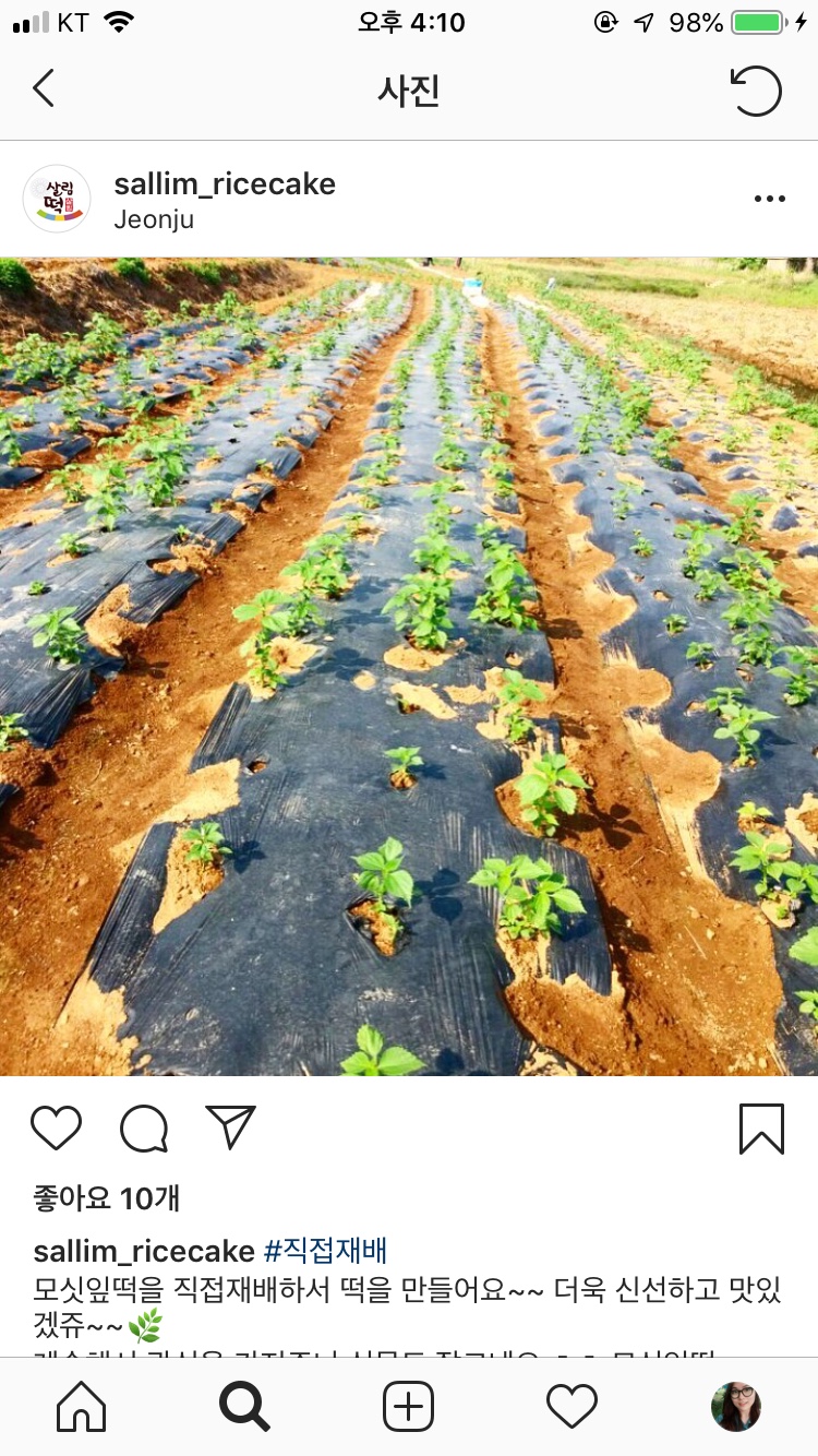 살림떡 이미지