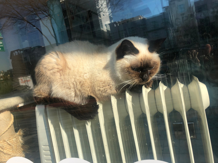 사랑방세무사 이미지