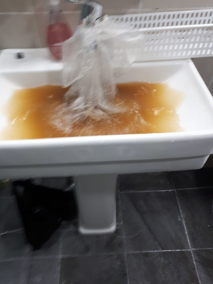 보성환경주 이미지