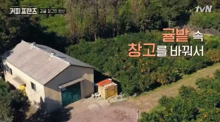 커피프렌즈촬영지 이미지