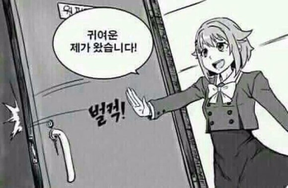 홍찌 이미지