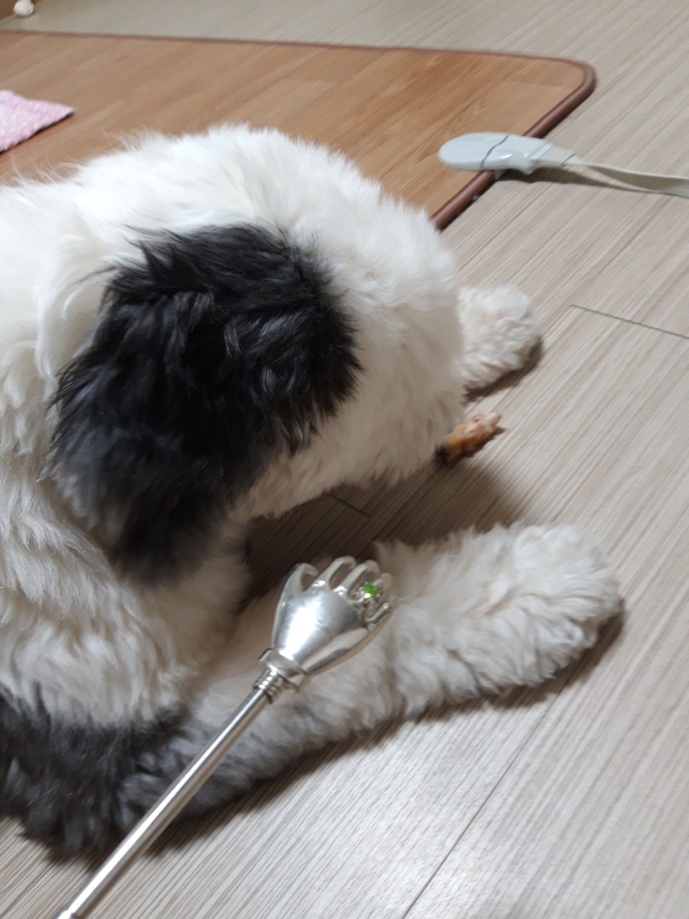 봉자족발 이미지