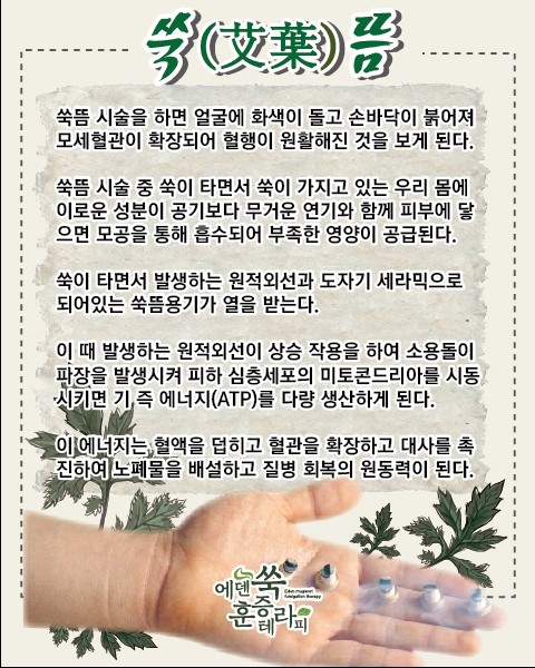 에덴쑥훈증테라피 이미지