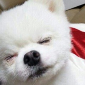 기야마 이미지