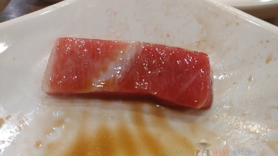 참치대가 이미지