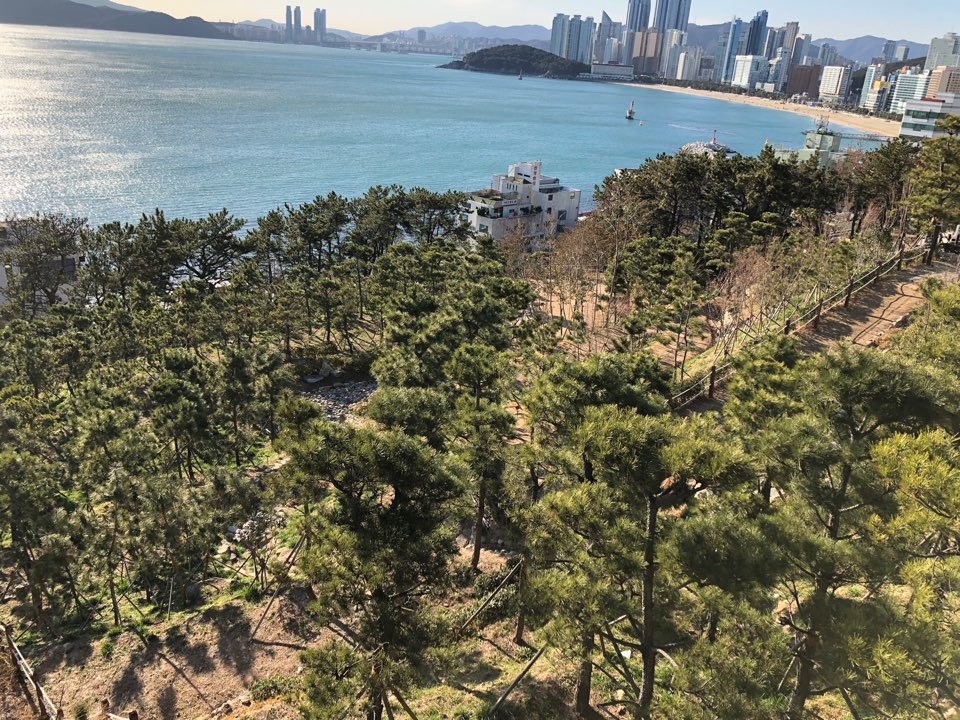 달빛거리 이미지