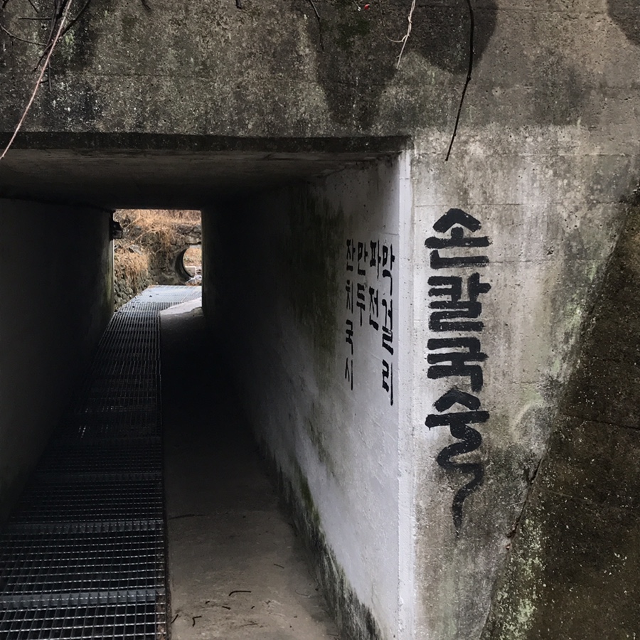 경주칼국수 이미지