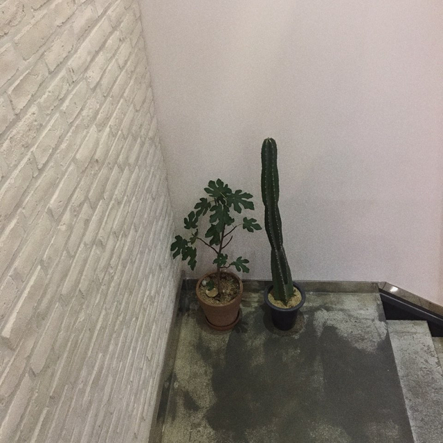 카페아크 이미지