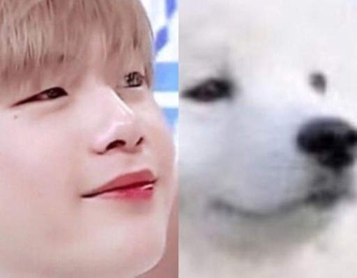 다니엘상사 이미지