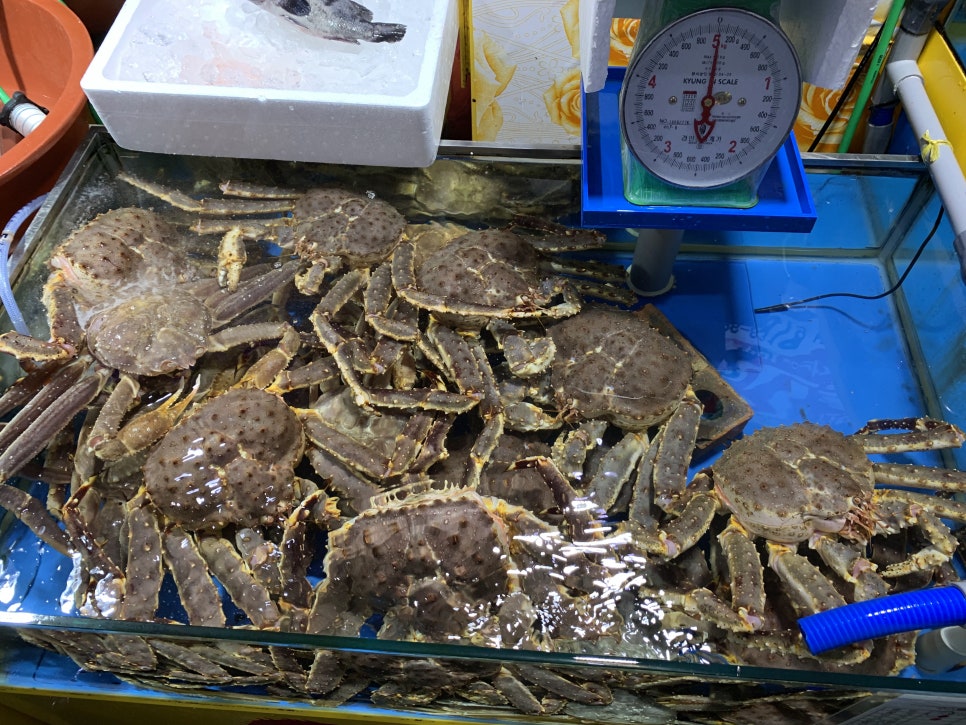 금호상회 이미지