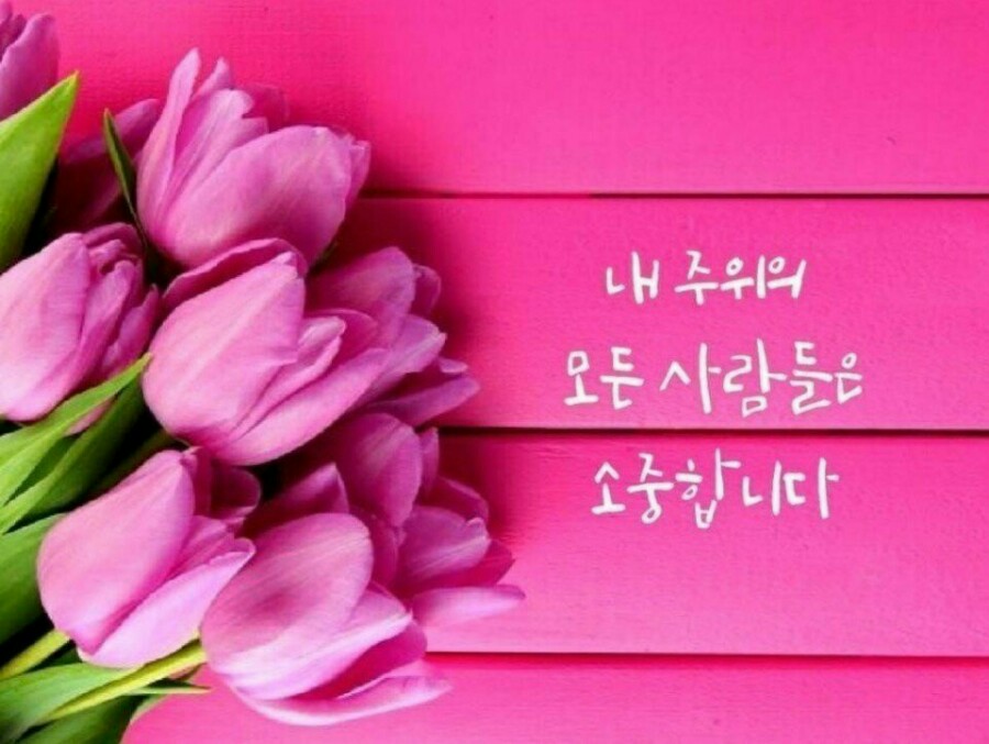 푸른뮤직 이미지