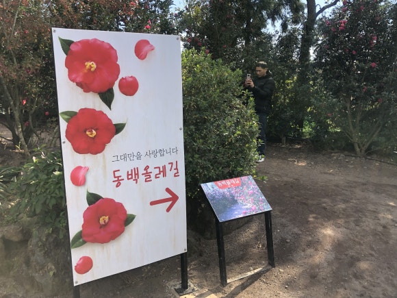 수애리 이미지