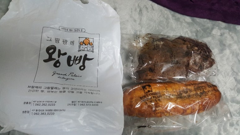 그랑팔레2 이미지