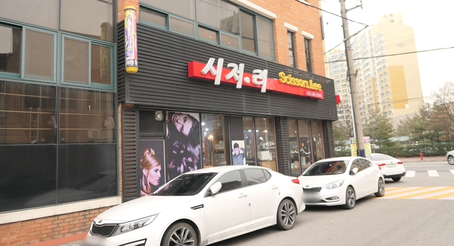 시저리 이미지