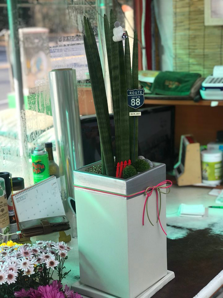 화원꽃마을 이미지