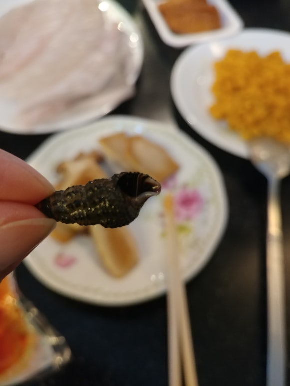 옥정항 이미지
