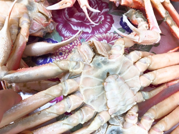순양호영덕대게직판장 이미지