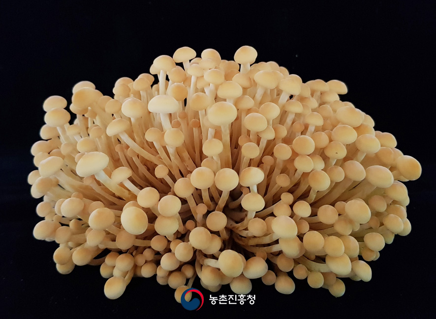 아람반점 이미지