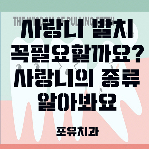 포유치과의원 이미지