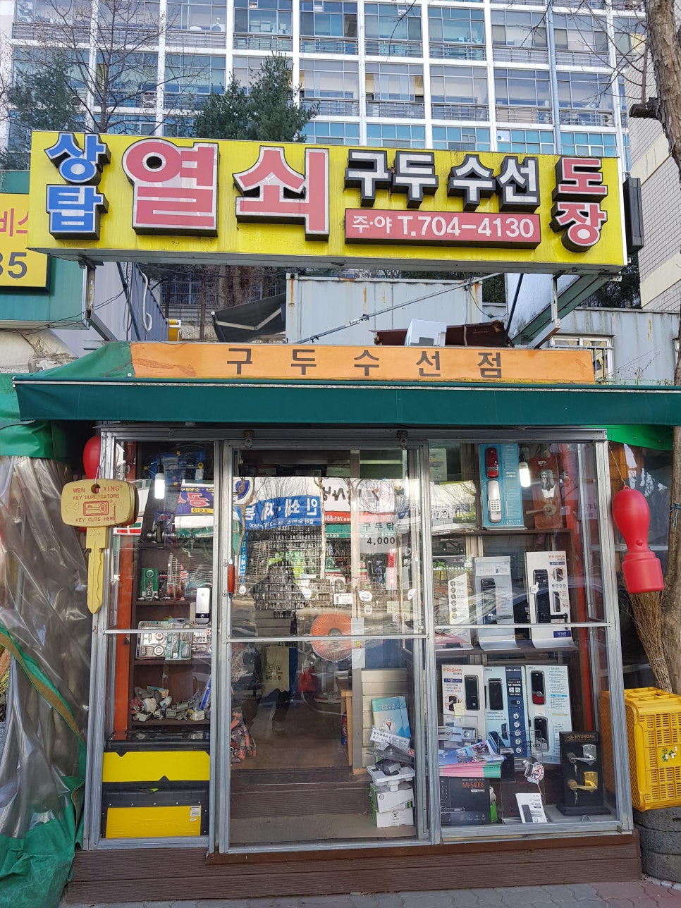 나리수선 이미지