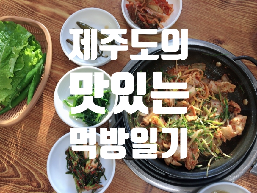 먹돌새기 이미지