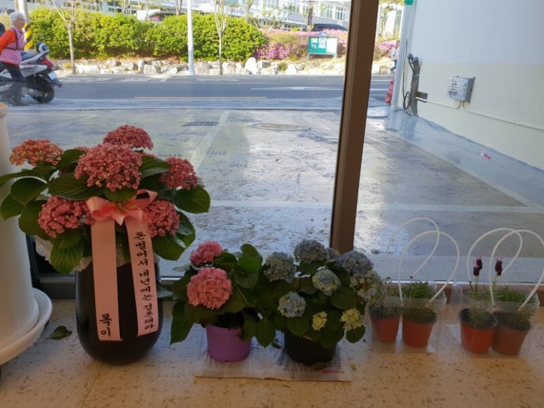 진마트 이미지